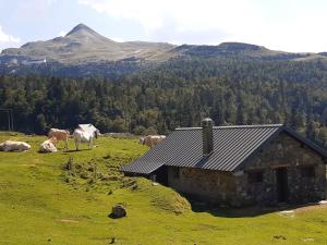 Maisons de vacances Au Nid de Caroline gite 4 etoiles : photos des chambres