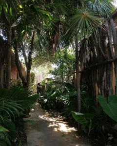 Cozy room near the beach, party zone
