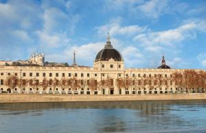 Hotels InterContinental Lyon - Hotel Dieu, an IHG Hotel : photos des chambres