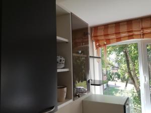 Apartment for rent Druskininkai