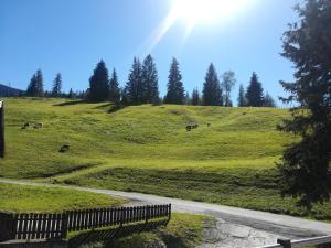 Apartment Hochkönigblick Pilzegg