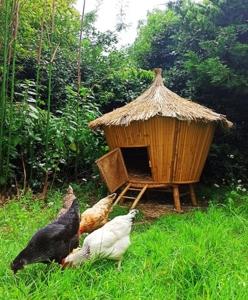 Maisons de vacances Gites By Medoc : photos des chambres