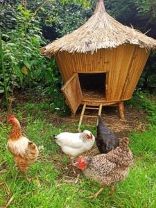 Maisons de vacances Gites By Medoc : photos des chambres