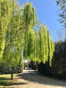 B&B Borgo di Pratavecchie