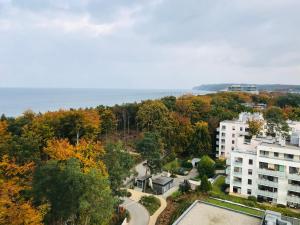 AQUAMARINA ONYX GOLD