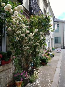 Chez Teresa - A Taste d'Angleterre photo 12