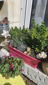 Chez Teresa - A Taste d'Angleterre photo 9