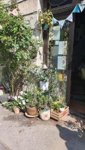 Chez Teresa - A Taste d'Angleterre photo 6