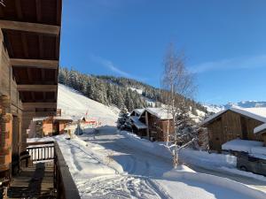 Appartements Grand appartement aux SAISIES : photos des chambres