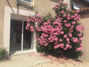 Gîte de la Foye - Le magnolia