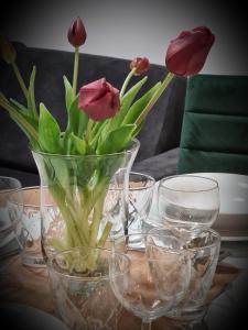 Apartament nad klifem w Dziwnówku