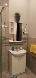 Studio flat in a historical XIX c. building.