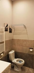 Studio flat in a historical XIX c. building.