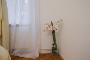 Apartman Manja 