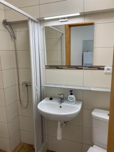 Apartmány Kosmonosy, Hradištská 193