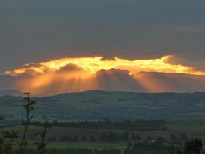 Sycamore Avenue Treehouses & Cottages Accommodation
