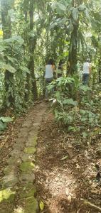 Finca Las Palmas Ecolodge