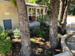 Provence Dream Chalet