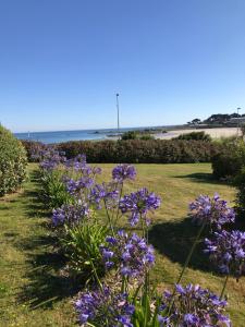 Appartements Rez de jardin 5 pers avec piscine, vue directe sur la plage a 40 m : photos des chambres