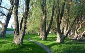 Pálma Apartmanok Szálláshely Százhalombatta 5a