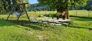 Počitniška hiša Ostrnica 