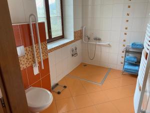 Apartmán Pod Drátníkem