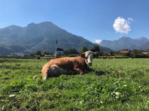 Ferienwohnung Oberschopper