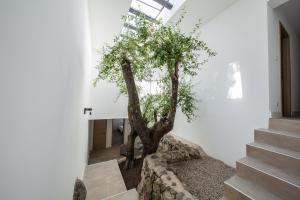 Villas Domaine Valle Doniche : photos des chambres