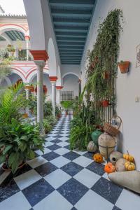 Apt. Casa Palacio Santa Cruz Cathedral views -