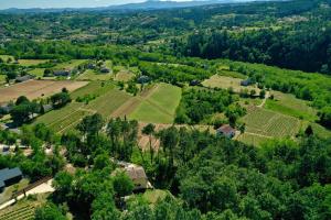 Maisons de vacances Gite des arts premiers : photos des chambres