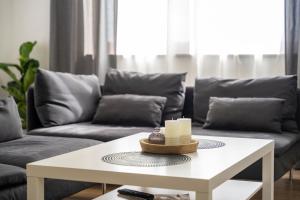 Apartment Grey Mountain