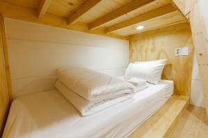 1 người trong phòng tập thể 4 giường – Chỉ dành cho nam (1 Person in 4-Bed Dormitory - Male Only)