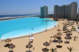 Central de Arriendos Nueva Serena - Trigo Blanco