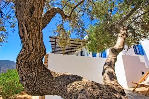 Sifnos Residence Sifnos Greece