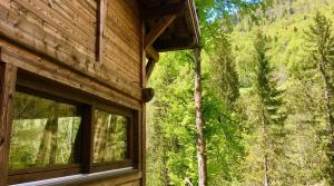 Chalets Forest Lodge - Modern Luxury Nestled in the Pines : Chalet