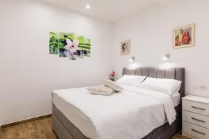 Comfort Studio Apartment room in Apartments Martha