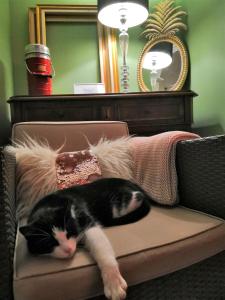 Hotels Hotel Le Victoria : photos des chambres