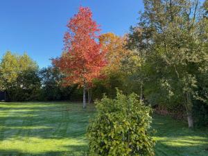 B&B / Chambres d'hotes Chateau de la Garnison : photos des chambres