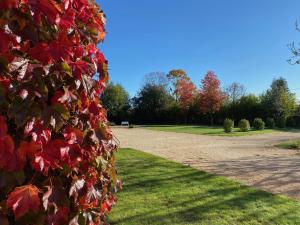 B&B / Chambres d'hotes Chateau de la Garnison : photos des chambres