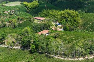 Finca Hotel Los Girasoles