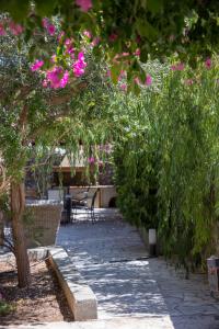 Alicelia Boutique Inn Ithaka Greece