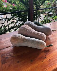 Panos and Chrisas House Argolida Greece