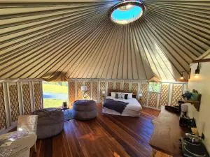 Noosa Eco Retreat - 金皮