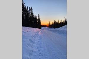 Stuga i Hemfj?llstangen