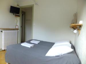 Hotels Hotel des Cimes : photos des chambres
