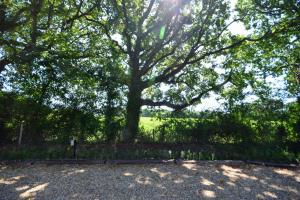 The Pines , Woodmancote