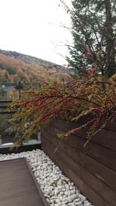 Reef Terrace Apartments