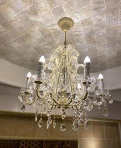 Hotel Venus Garden(Adult Only)