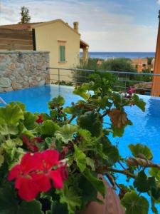 La Riviera Barbati Seaside Luxurious Apartments & villas Corfu Greece