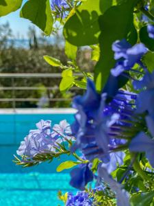 La Riviera Barbati Seaside Luxurious Apartments & villas Corfu Greece